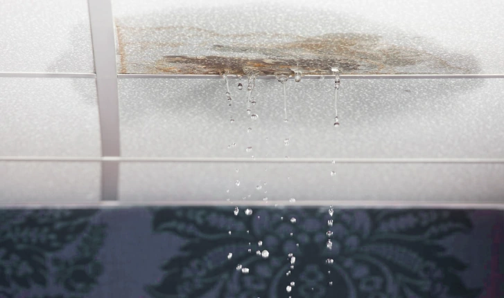 Roof leak investigation and water ingress repair in Glasgow